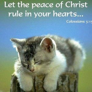 Welcome to my Closet